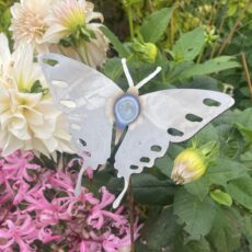 5065022557265 1 Butt4x1.JPG